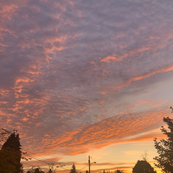 Meet your Posher, Celeste - Picture 1 of 1